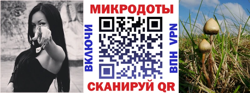 где продают наркотики  Сычёвка  Галлюциногенные грибы GOLDEN TEACHER 