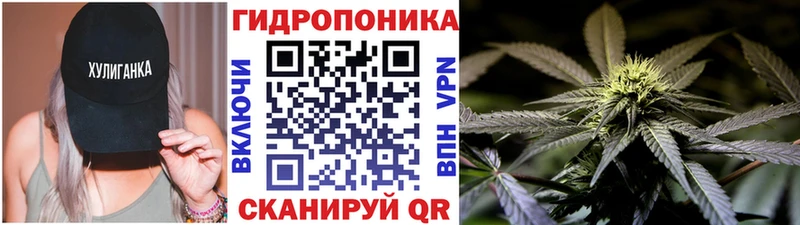 Конопля планчик  Сычёвка 